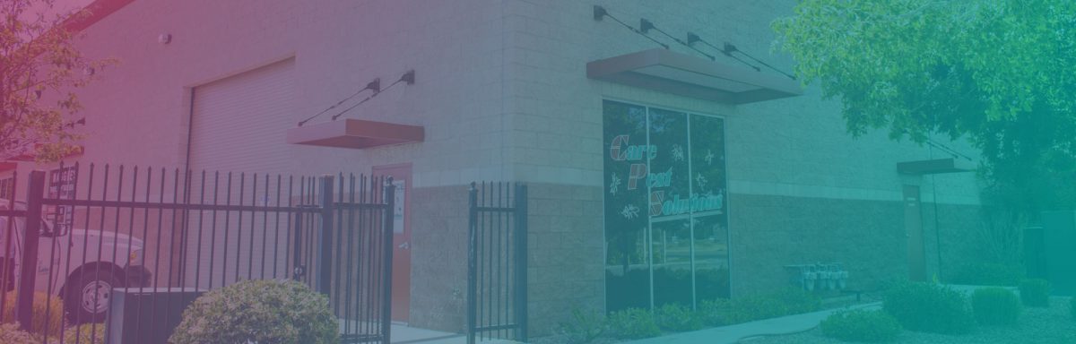 Contact Us - Care Pest Solutions | Pest Control Lancaster CA