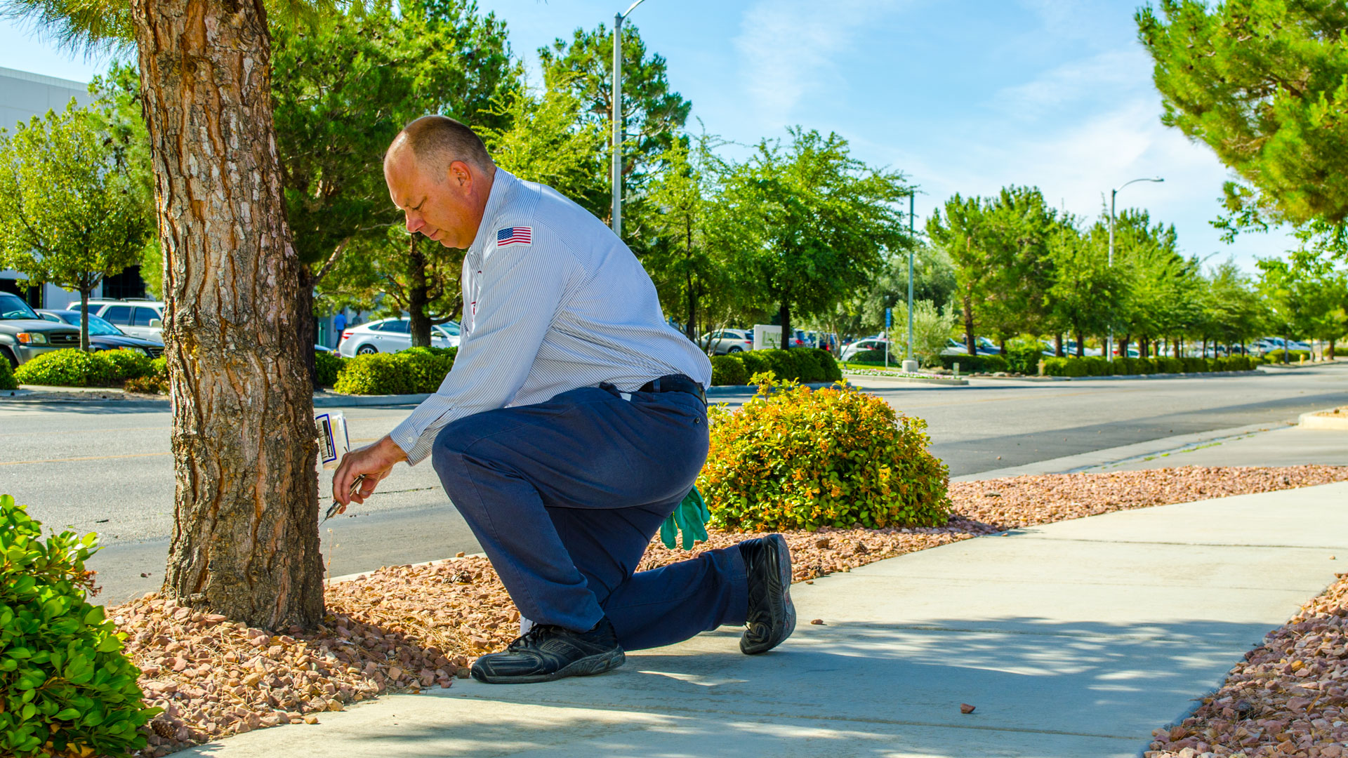 Care Pest Solutions | Pest Control Lancaster California